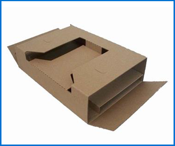Carton Packaging