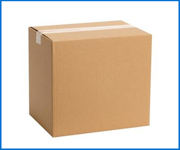 Carton Packaging