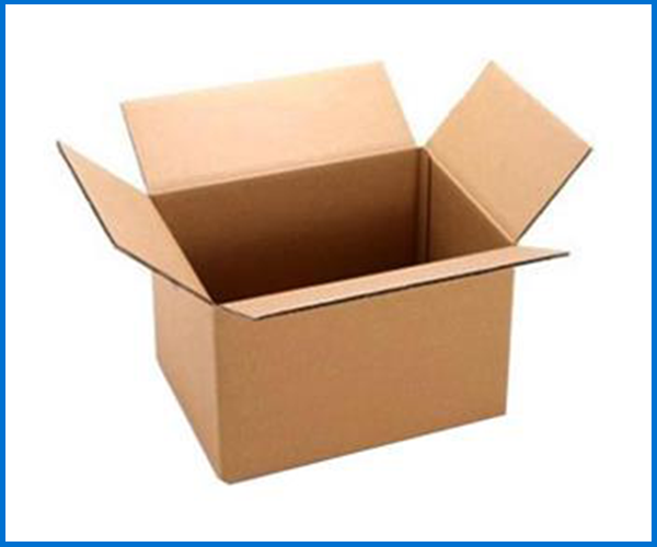 Carton Packaging />
                                                 		<script>
                                                            var modal = document.getElementById(